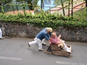 Wicker sled