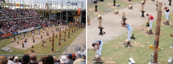 Wood chopping competition