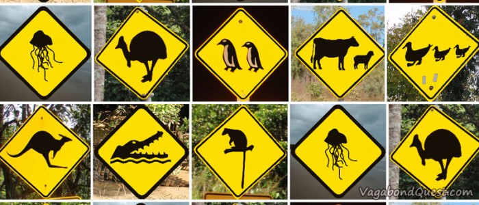 Animal street sign - NZ OZ - VQ