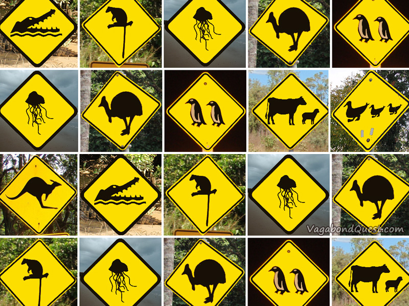 Top 8 Animal Street Signs from Australia and New Zealand Vagabond Quest