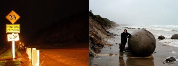 Left: Watch for the penguins! Right: Mouraki Boulders