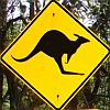Kangaroo Street Sign thumbnail