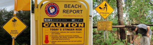 I like the warning sign in the right picture: the stinger looks monstrous.