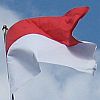Indonesian Flag Hotel Majapahit thumbnail