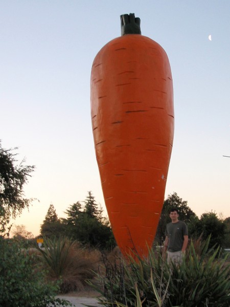 Ohakune carrot