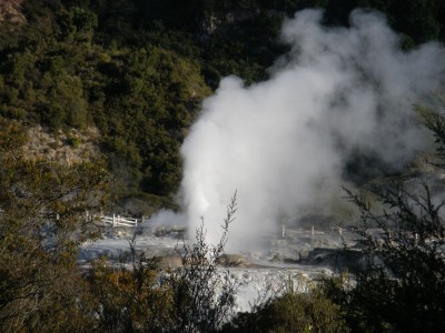 Pohutu Geyser