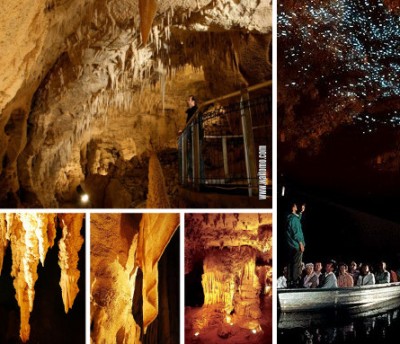 Waitomo glowworm caves - New Zealand