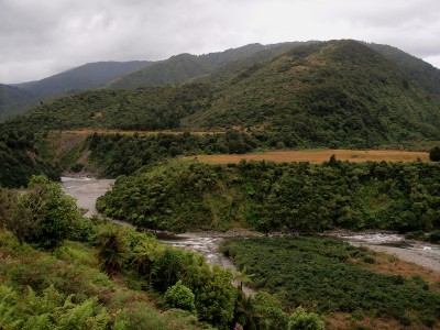 Otaki Forks