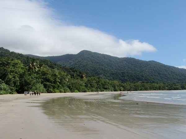 Daintree beach and rainforest