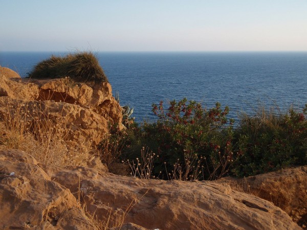 Vegetation at Temple of Poseidon, Sounion, and the Aegean Sea