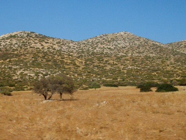 Dry shrubs hill at Sounion, Attica Peninsula