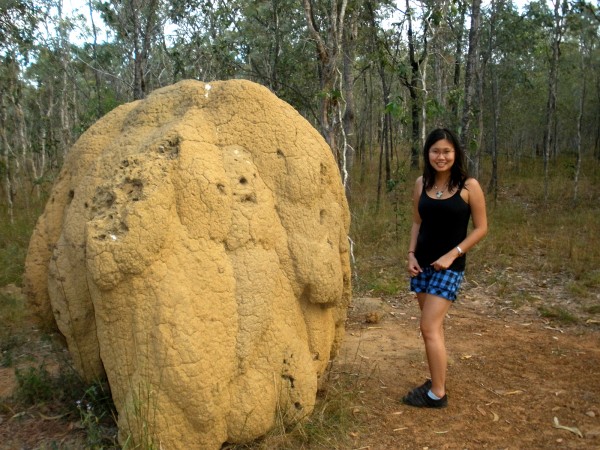 Termite hill