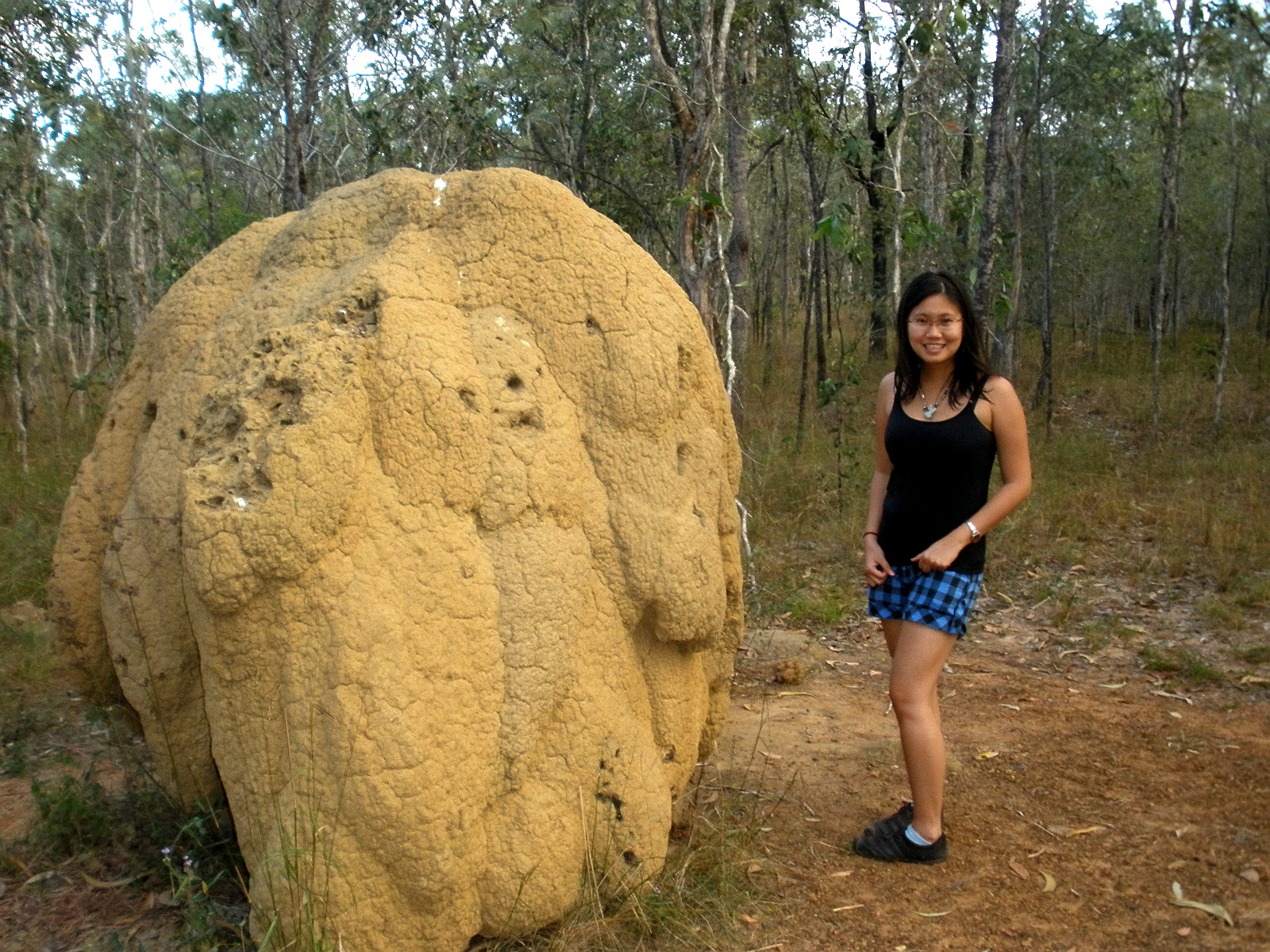 Termites Mouth