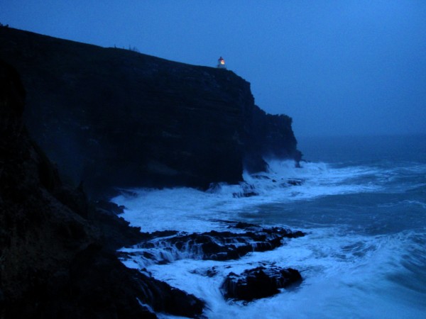 Otago Peninsula, Dunedin, New Zealand