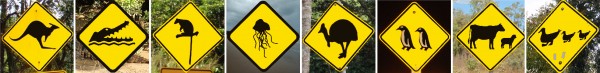 Check out: Top 8 Animal Street Sign