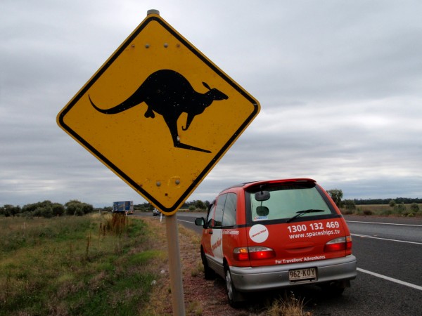 Kangaroo street sign with balls modification