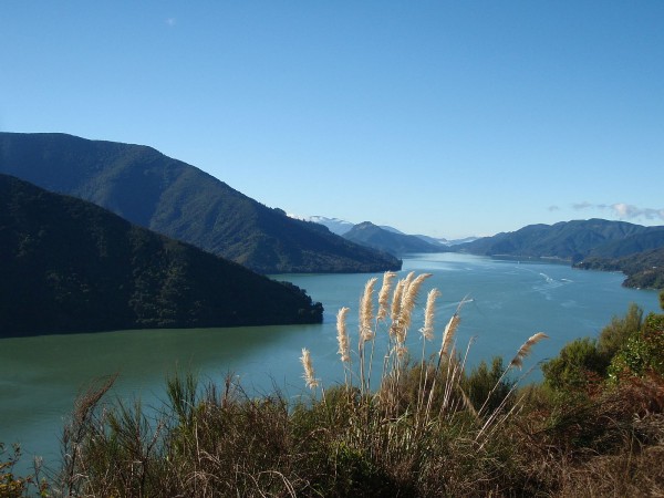 Queen Charlotte Sound, New Zealand Queen Charlotte Sound, New Zealand