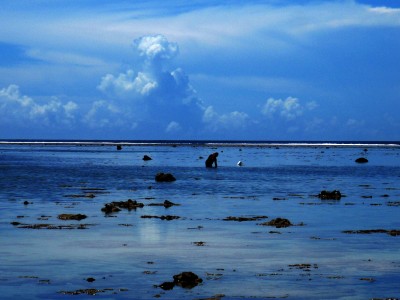 Fijian man in a Fijian lagoon, catching fish