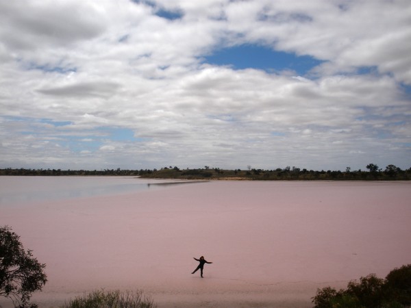 Walking on pink salt lake in Murray-Sunset National Park, Victoria, Australia