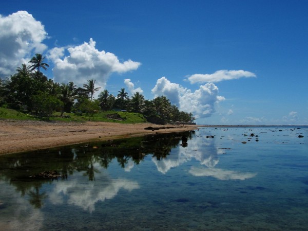 Perfect mirror by Fijian lagoon, Viti Levu, Fiji