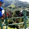Tarzan swing guide in Monteverde, Costa Rica