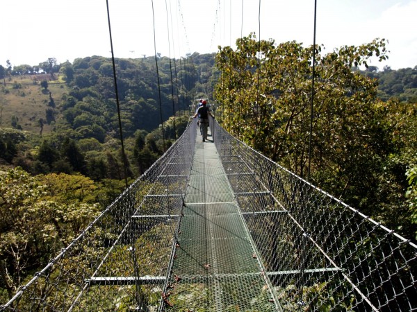 The bridge to the Tarzan swing platform in Monteverde, Costa Rica