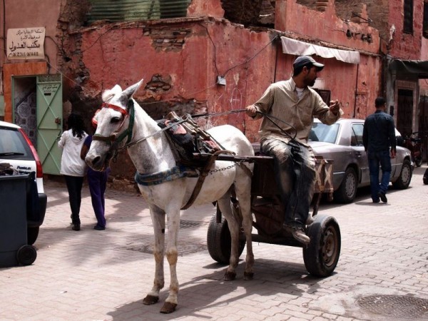 A man with his horse carriage in Medina Quarter of Marrakech, Morocco