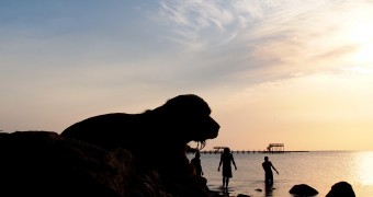 Travel Photo Roulette Round 30 “Silhouettes”: And the Winner is… Silhouette of a wet dog