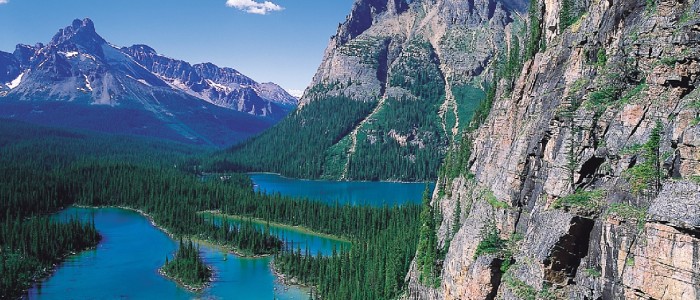 Rocky mountain cliffs and Lake O'Hara in Yoho National Park, British Columbia, Canada.