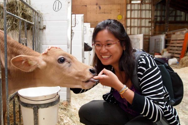 Gort's Gouda Cheese Farm, Shuswap BC