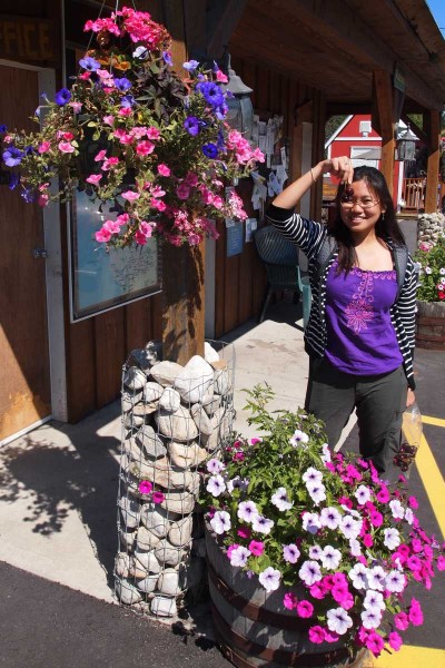 Farm Market on Salmon Arm