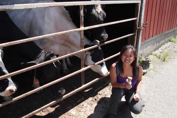 Dutchmen Dairy