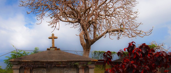 Barbados - St John Parish Church - Cemetery