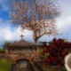 Barbados - St John Parish Church - Cemetery