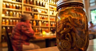 Canada BC Whistler - Alta Bistro - fiddlehead pickles