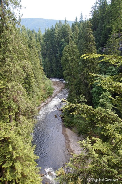 The view from Capilano Suspension Bridge